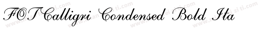 FOTCalligri Condensed Bold ItalicVe字体转换
